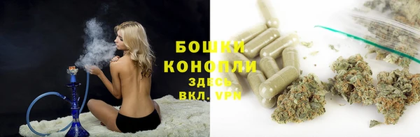 твердый Аркадак
