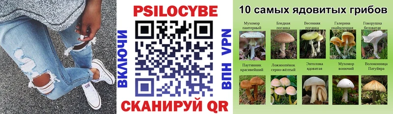 Галлюциногенные грибы мицелий  Суздаль 